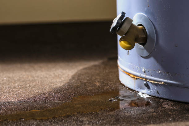 Best 24/7 water damage repair  in West Milwaukee, WI