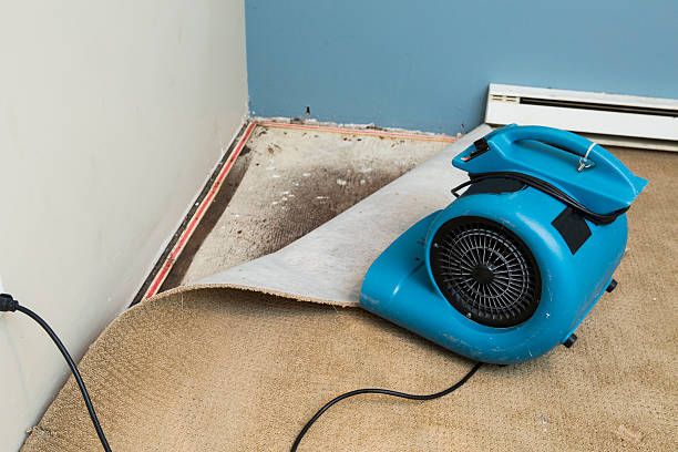 Best Water damage contractors near me  in West Milwaukee, WI